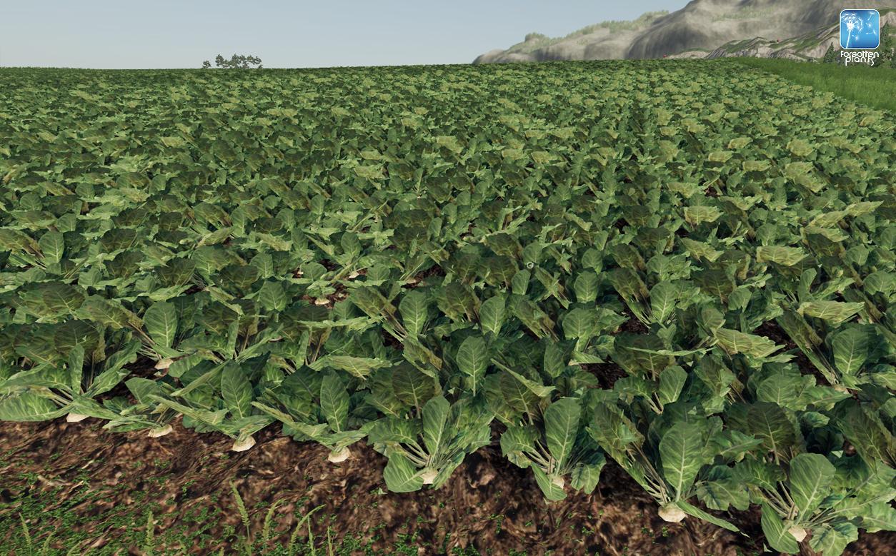 Forgotten Plants Potato Sugarbeet Oilseed Radish V10 Fs19 Fs22 Mod Download 7995