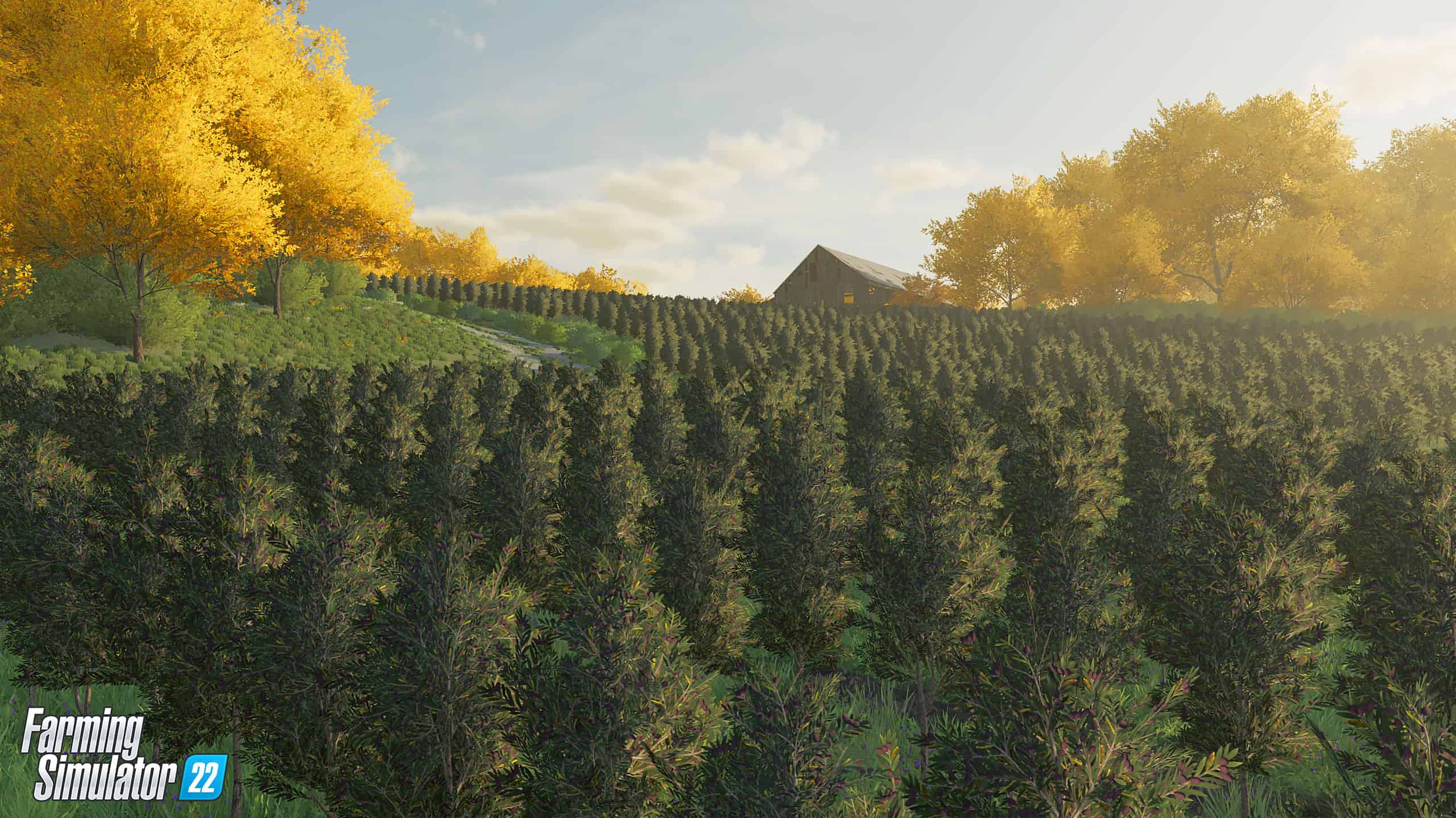 First Look At The New Crops In Farming Simulator 22 Farming Simulator 19 Mod Fs19 Mod 0556